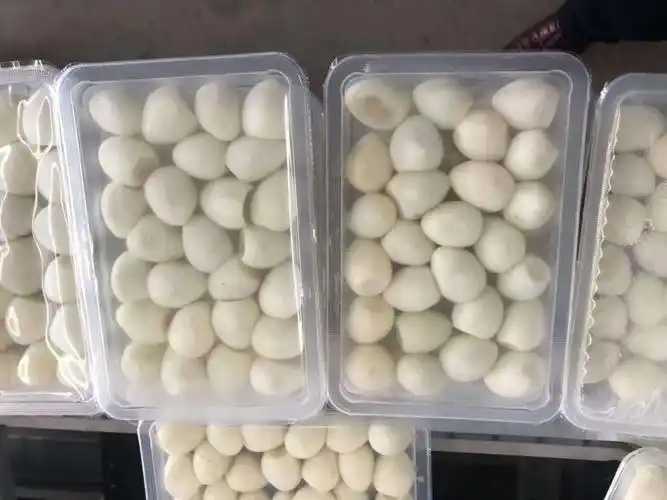整線解決方案，優(yōu)化生產(chǎn)流程：鵪鶉蛋包裝神器來襲